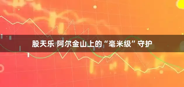 股天乐 阿尔金山上的“毫米级”守护