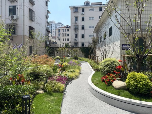 慧仁策略 社区小花园如何建？静安出台全市首个针对居民小区内花园建设的规范性工作指引