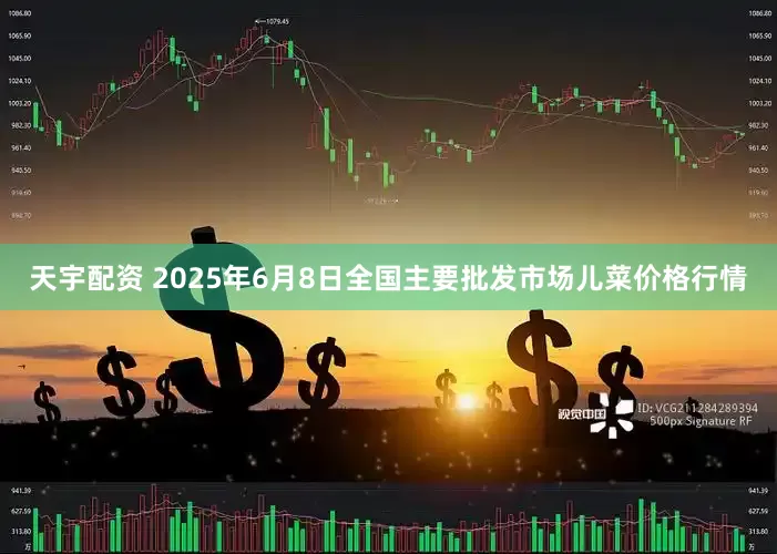 天宇配资 2025年6月8日全国主要批发市场儿菜价格行情
